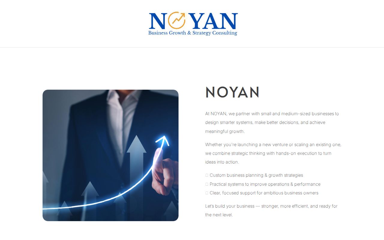 Noyan Strategy | Business Growth & Consulting